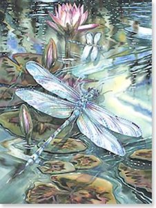 Bergsma Dragonfly Birthday Card