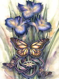 Begsma Butterfly Birthday Card