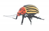 Realistic Yellow Striped Beetle Magnet