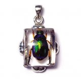 Red-Legged Rutelian Chafer Beetle Necklace