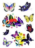 Assorted Butterfly Tattoos (8)