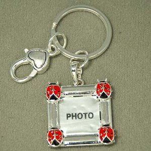 Silvery Ladybug Picture Frame Keychain