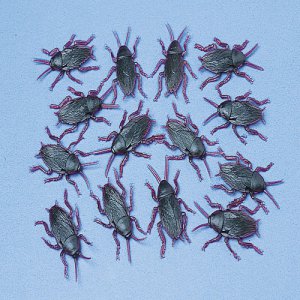 Rubbery Cockroaches, pk/72