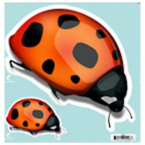 Giant Ladybugs Indoor/Outdoor Decal