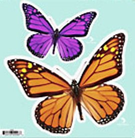 Two Butterflies Indoor/Outdoor Decal