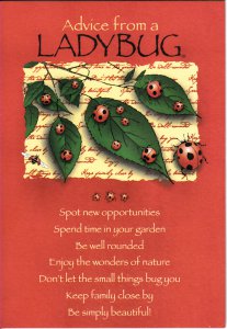 Ladybug Advice Birthday Card