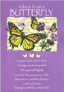 Butterfly Advice Card