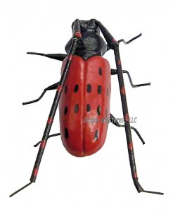 Red & Black Spotted Horn Beetle Magnet