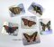 Butterfly Prism Stickers, pk/144