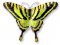 Tiger Swallowtail Sterling Enamel Pin