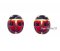 Big Ladybug Enamel Earrings
